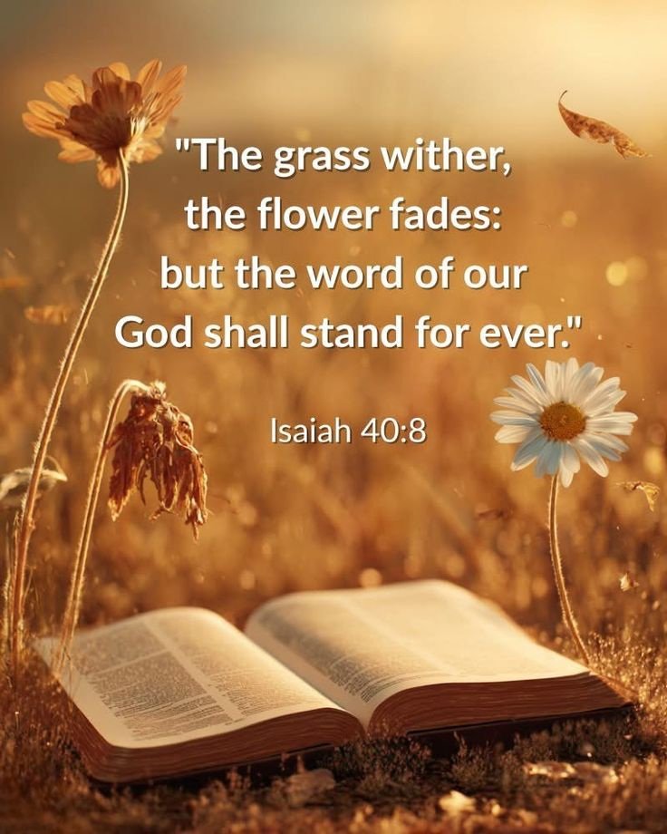 John_Matthew_T's tweet photo. Isaiah 40:8 https://t.co/x5128xrEhX