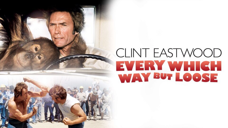 MTcarrie's tweet photo. What's playing for background noise while I work today - 
Mood = Right Turn Clyde 🐒👉 https://t.co/rl9791BvkC