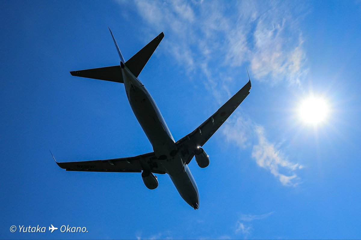 AtC4j8PyO961090's tweet photo. 庄内空港朝活🛬
7月到来😊夏☀️しました🧐
イヤ！夏☀️来ました〜〜〜🛬 https://t.co/l7Rrs2PORk