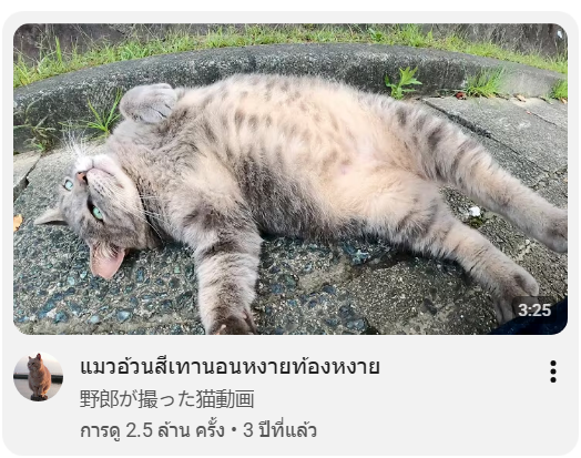 TifFaNy_9member's tweet photo. ปกคลิปล่อซื้อมากกกก 😂😂 https://t.co/mdXZZLmtQH