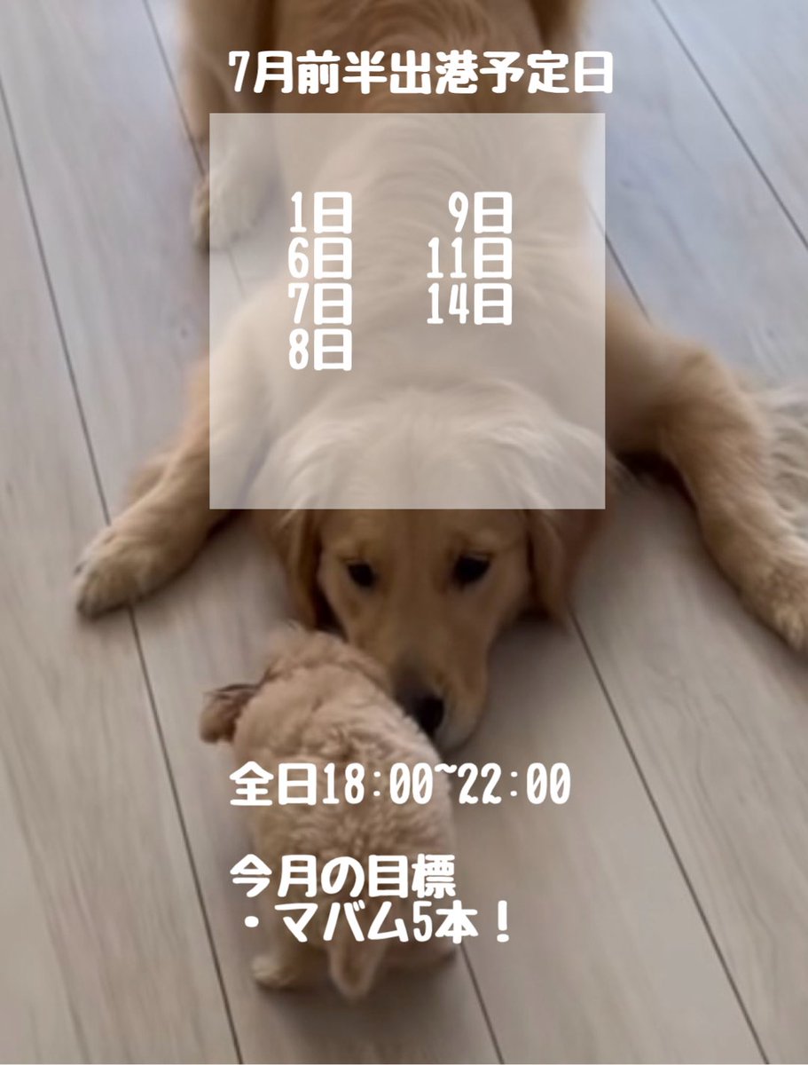 Mutsu___u__000's tweet photo. ⁺˳✿⏦۠₊7月前半出港予定日ܸ⁺˳✿⏦۠₊

────── ౨ৎ ──────

遠隔⬇️
https://t.co/CUtdCQooCk

────── ౨ৎ ────── https://t.co/oGsob63fdq
