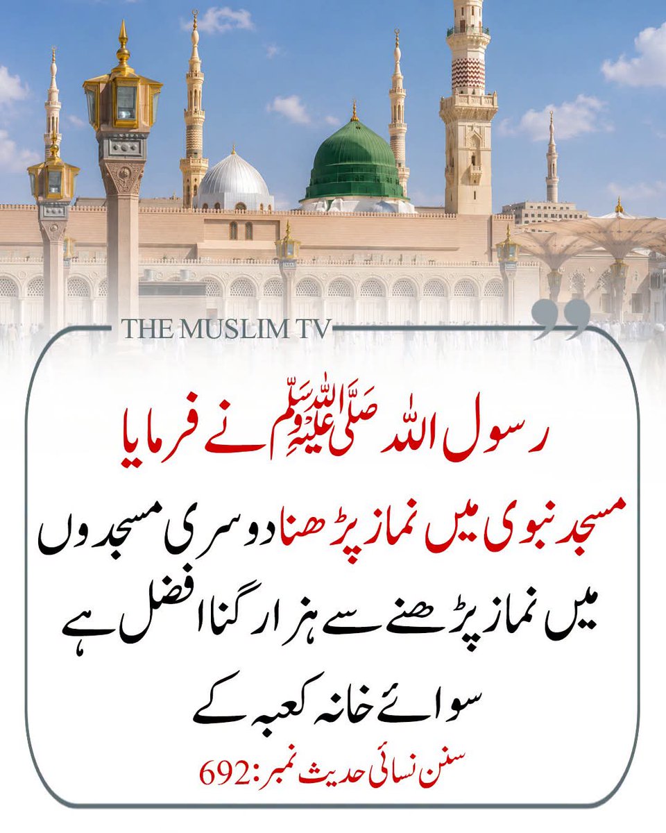 mahwishzafar7's tweet photo. رسول اللہ ﷺ نے فرمایا 💚 https://t.co/jcKZsAFreP