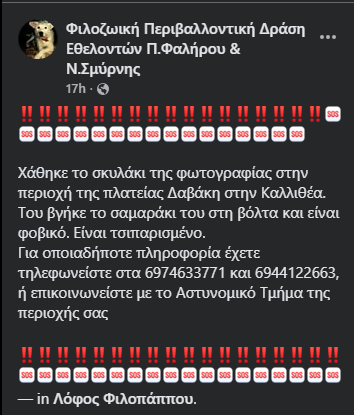 GrKuroki's tweet photo. 🆘🆘🆘
Χάθηκε ο σκυλάκος της φωτογραφίας από την Καλλιθέα. Τελευταία φορά εθεάθη πριν 5 ώρες στο Κουκάκι, οδός Γ. Ολυμπίου.
Οι δικοί του &amp; εθελοντές το ψάχνουμε εναγωνίως, παρακαλώ βοηθείστε με κοινοποιήσεις να γνωστοποιηθεί σε όσο το δυνατόν περισσότερο κόσμο! https://t.co/gPZskkQ4t7