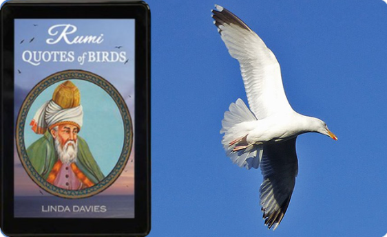 ImagesandQuotes's tweet photo. RUMI: QUOTES of BIRDS ~ 0.99 #KU
Rumi's poetry + original photos share love and passion for the sea - Take a relaxing break:
https://t.co/WHGWjoGoqm #Rumi #Love https://t.co/ShXmRZnEPw