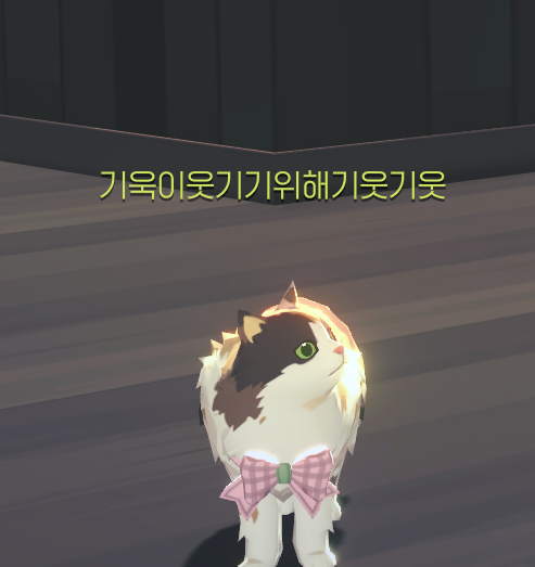 짱삡 tweet media