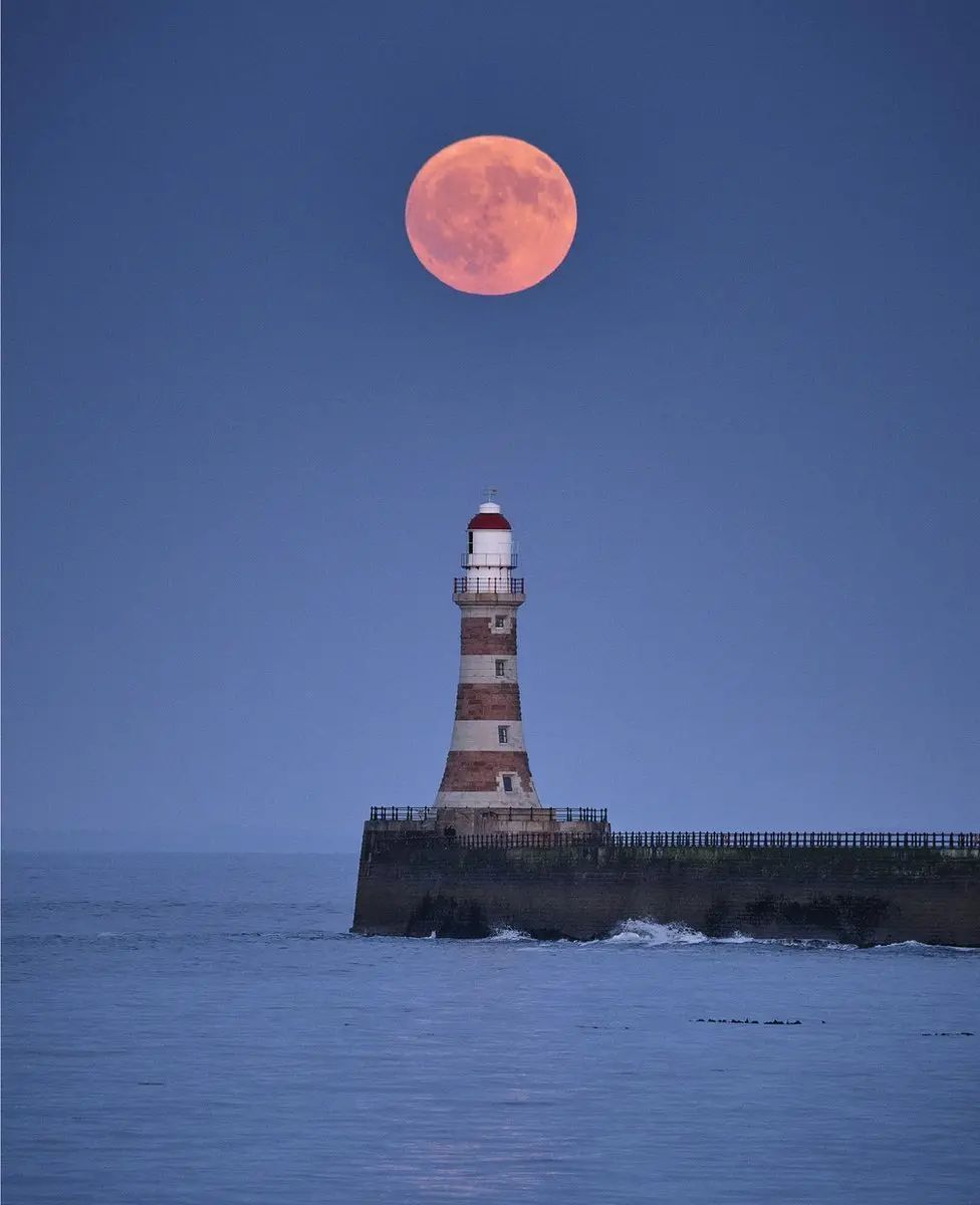 WriterJoMalby's tweet photo. summer romance
the rose moon
keeping secrets
~ Leon Tefft, @leontefft // #Photography: ‘Strawberry Moonrise’ by Michael Wake #3lines #haiku https://t.co/cbCcJGKE94