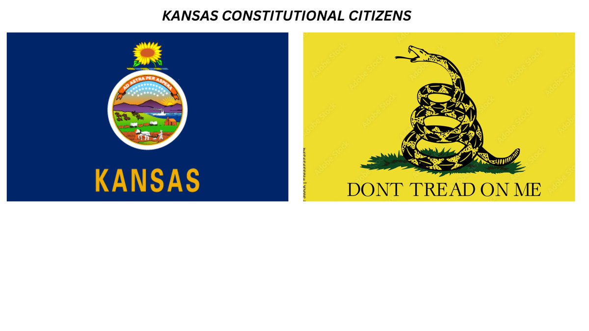 Back2nd4All's tweet photo. TIME FOR KANSAS CONSTITUTIONAL CITIZENS MILITIA LIVE ON RUMBLE @  9PM CT / 10PM ET TONIGHT!  I WILL BE TALKING ABOUT THE KANSAS LAND BANK  AND WHAT IS GOING ON.  I WILL, ALSO, CONTINUE TO GO DOWN THE LIST OF  CANDIDATES FOR GOVERNOR TO HELP KANSANS CHOOSE
https://t.co/oe6LDZZHDS https://t.co/oTMUdIltIa