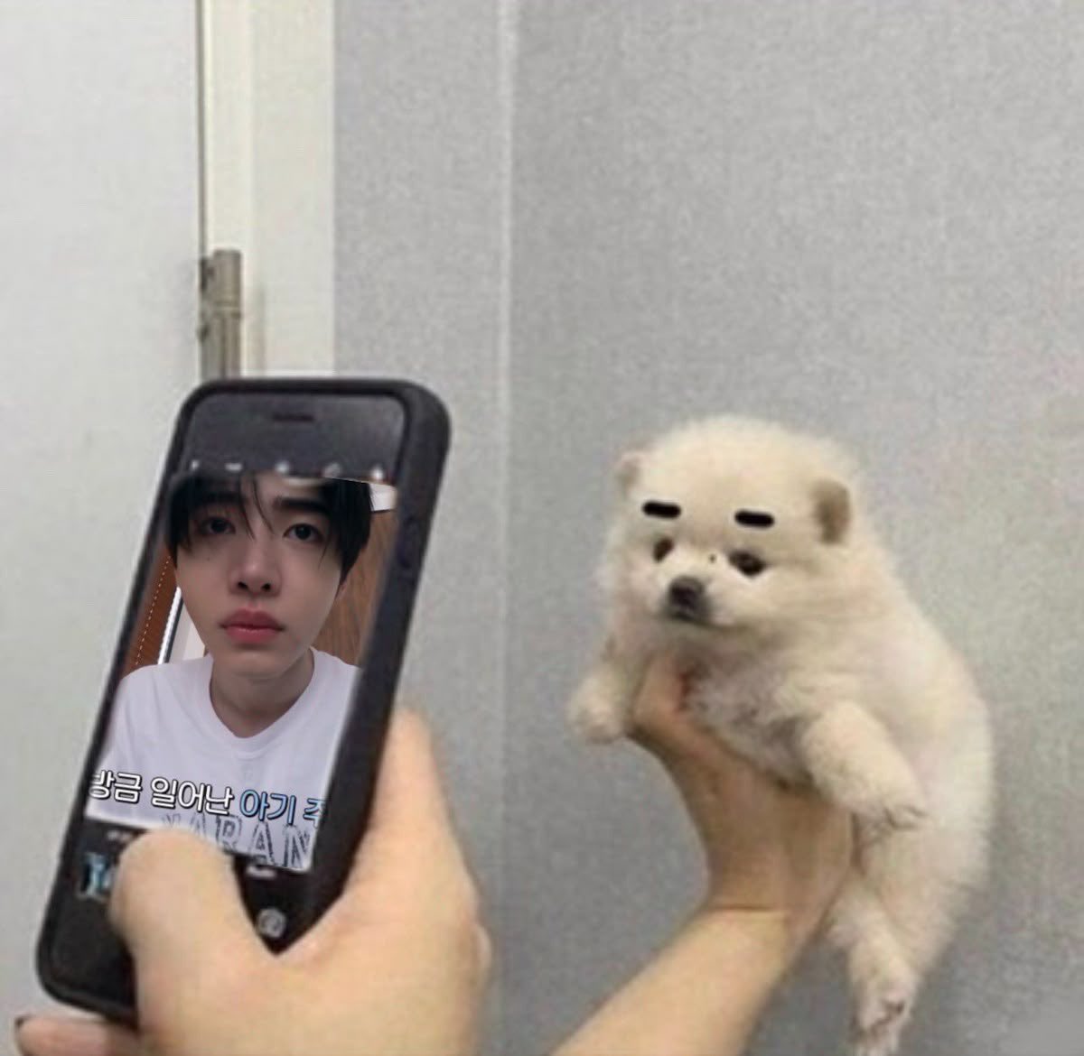 minguriri1's tweet photo. 백구 사진 찍기 https://t.co/3Gob2EB5fK