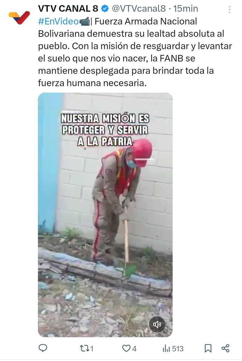 mjua89's tweet photo. @Juanegron En la cuenta de Vtv pusieron el vídeo de los bichos recogiendo escombros, más falsos imposibles https://t.co/6O2w4LDRYF