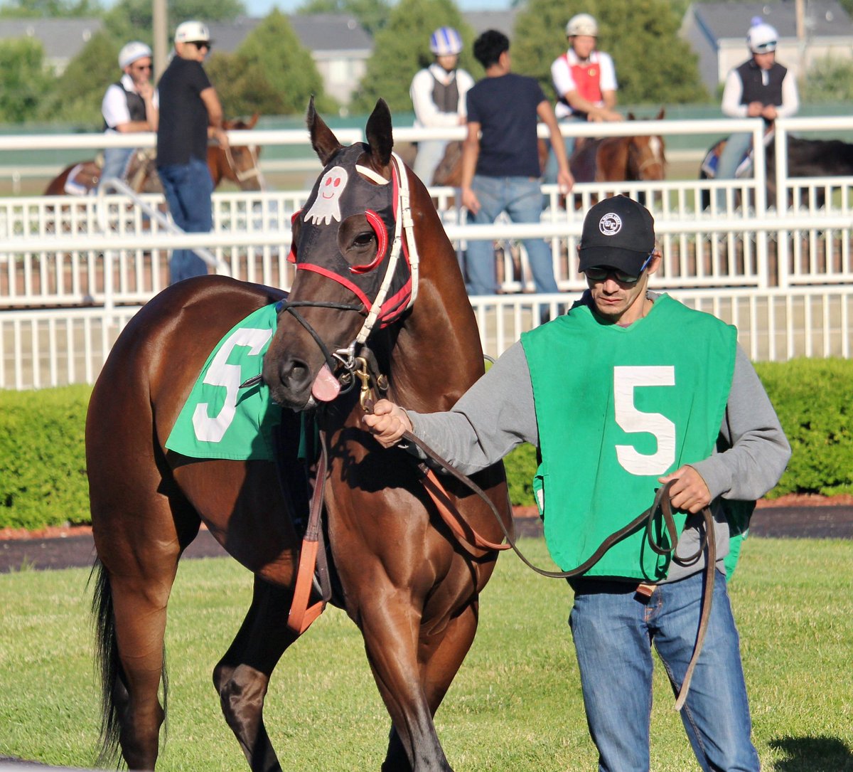 JimmyNeubs's tweet photo. Salute to the grooms! @prmracing https://t.co/n3Owv3Xt3t