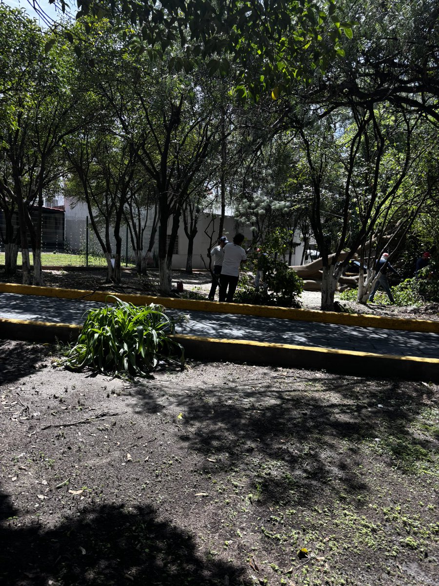heidiqe's tweet photo. Se puede saber porque están podando árboles en los parques de Prados Agua Azul ? 😠@JCarlos_Valerio @aztecapuebla @carlosmartinh @e_consulta @PueblaenLinea https://t.co/FeGP7AVXVe