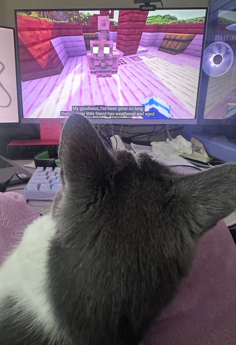 lizzaryyy's tweet photo. Healing my inner child by watching the new @LDShadowLady video with my cat https://t.co/g1bPWNpDkJ