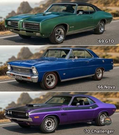 Mandywhitted2's tweet photo. 1969 GTO
1966 Nova
1970 Challenger https://t.co/yzGjxbaThW