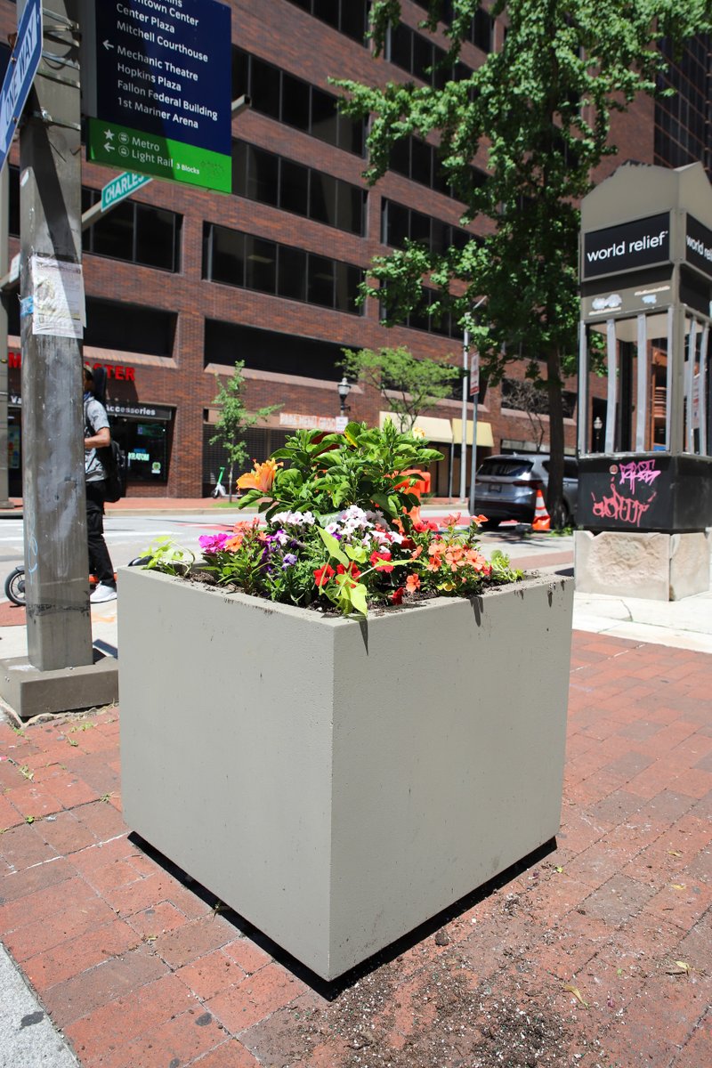 DowntownBalt's tweet photo. Downtown is looking a little more... FABULOUS! 🌺✨
 
Fresh hanging baskets, vibrant planters, and a little more color around every corner. Thank you Ruppert Landscaping! https://t.co/s7iXraS3L0