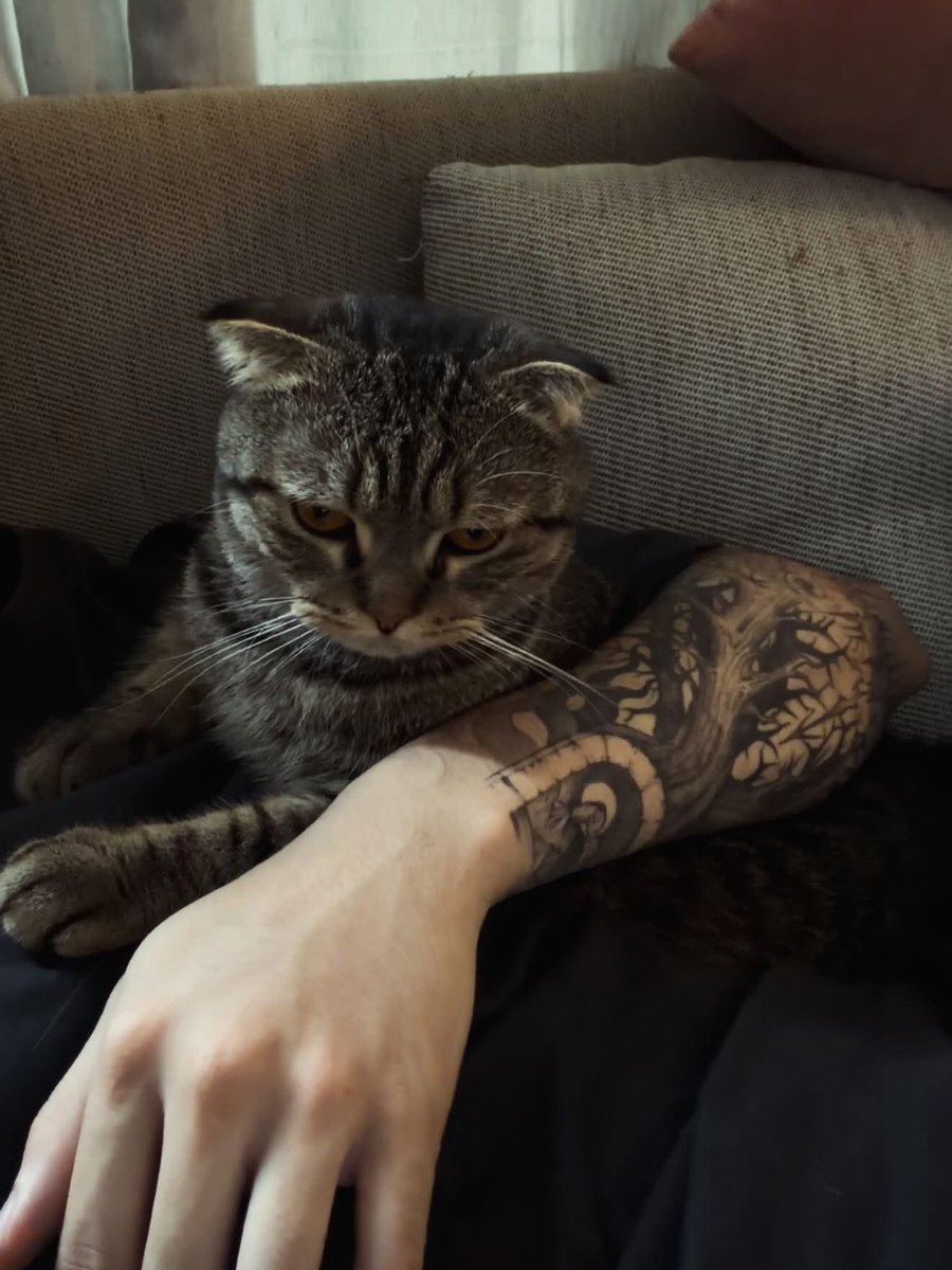 ppeachydanik's tweet photo. ไม่ชอบแมวอื่น ชอบแค่แมวคุณคับ🥺 https://t.co/kH8TgCeItq