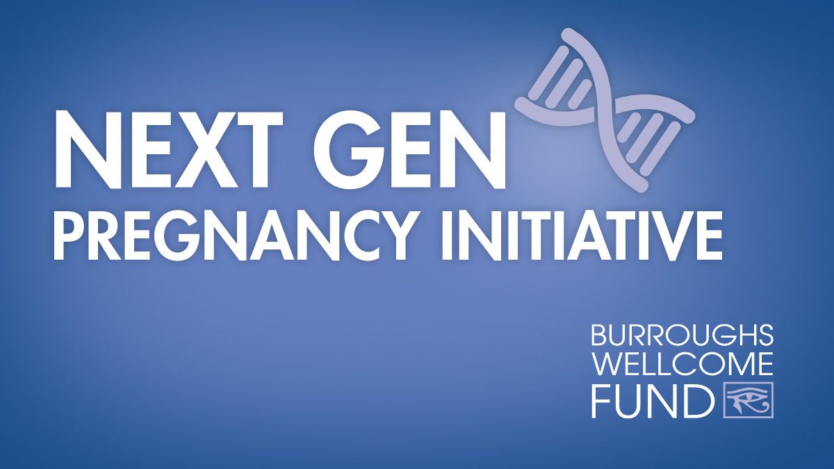 BWFUND tweet media