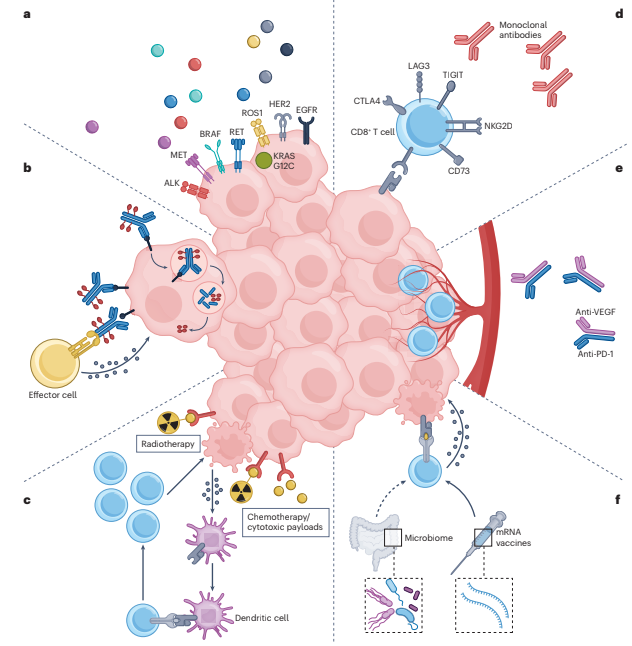 YGaritaonaindia's tweet photo. 🫁 Our review is out in @NatRevClinOncol: improving neoadjuvant & perioperative therapy in resectable #NSCLC

The question is no longer *whether* chemo-#IO works, but *how* to use it 👇

🔑 pCR as a robust surrogate of durable benefit — 5-yr OS >95% in pCR patients (CheckMate 816)

🧬 Baseline biomarkers (PD-L1, genomics) to flag who won't respond upfront

🩸 Dynamic tools  (ctDNA, radiomics, metabolic imaging) to adapt in real time

🎯 Escalate the biologically high-risk, spare the rest

🔍 Time for response-adaptive, biology-guided perioperative care.

Senior author: @MARIANOPROVENCI 

Link 👇👇

@OncoAlert @Larvol @oncodaily