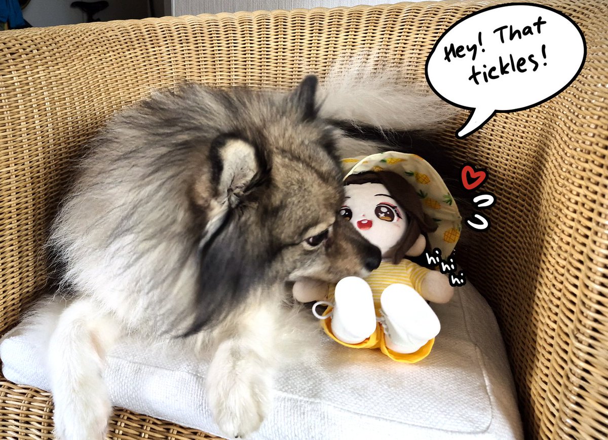 miska_kuura's tweet photo. Lianlian's reunion with Big Fluffy Friend (4/4)
#minidoll https://t.co/aUaWj2whzH