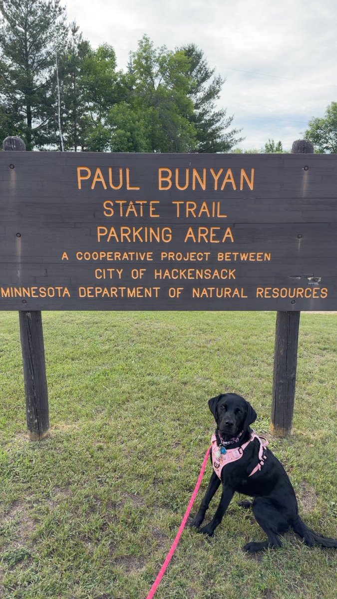 woogs98's tweet photo. up north > city trails https://t.co/cKEF1UF4cP