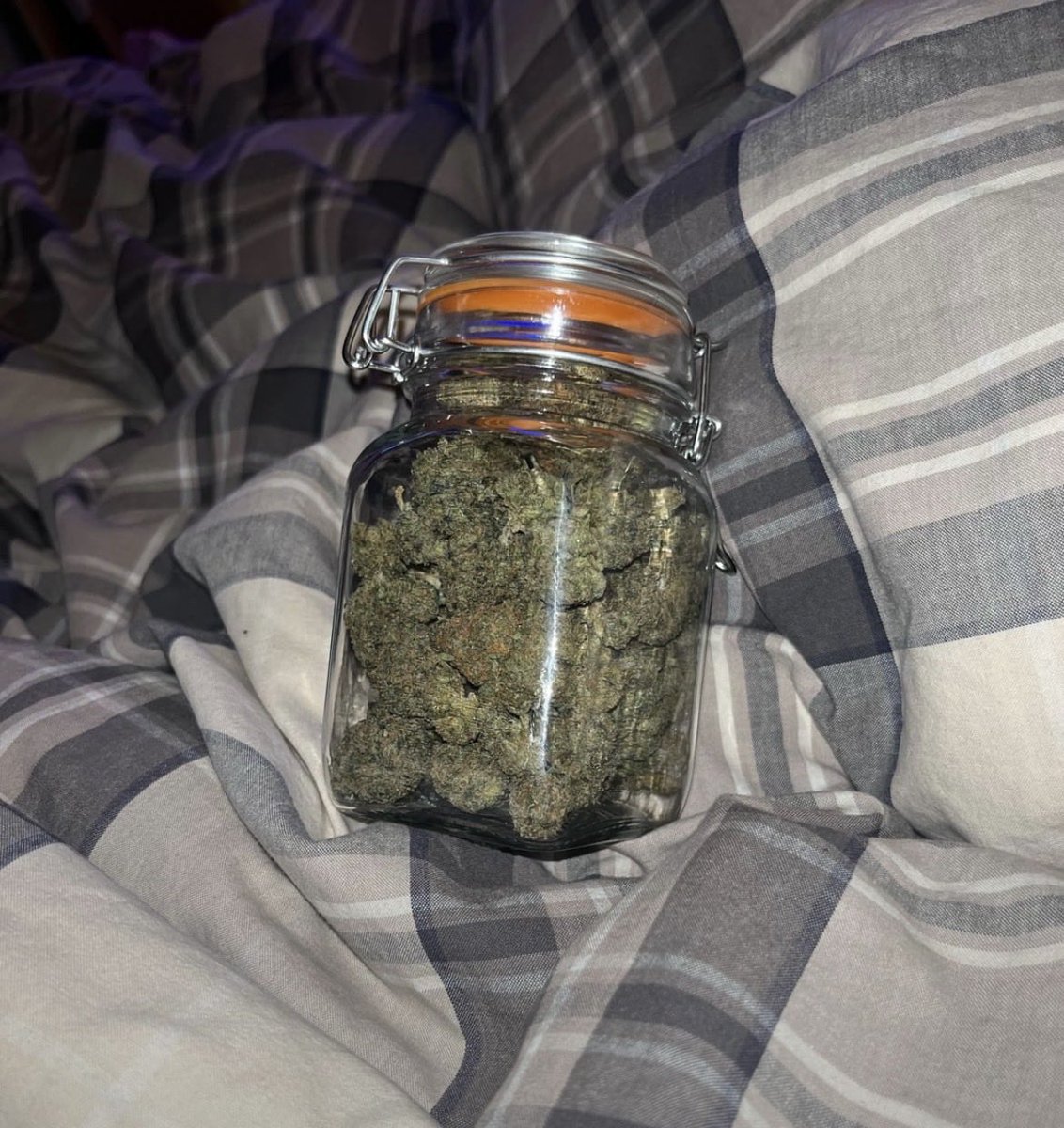 kimzGreenz's tweet photo. All I need 🍃❤️💨 https://t.co/CaRN394gk0