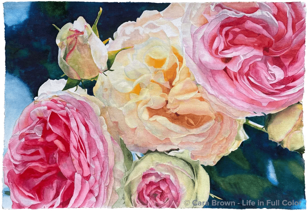 Wardeddine's tweet photo. Trying a new hobby this month Let’s pick something fun—watercolor, baking, or even birdwatching! Small steps = big joy. Start today! https://t.co/bTiSLlf9lj