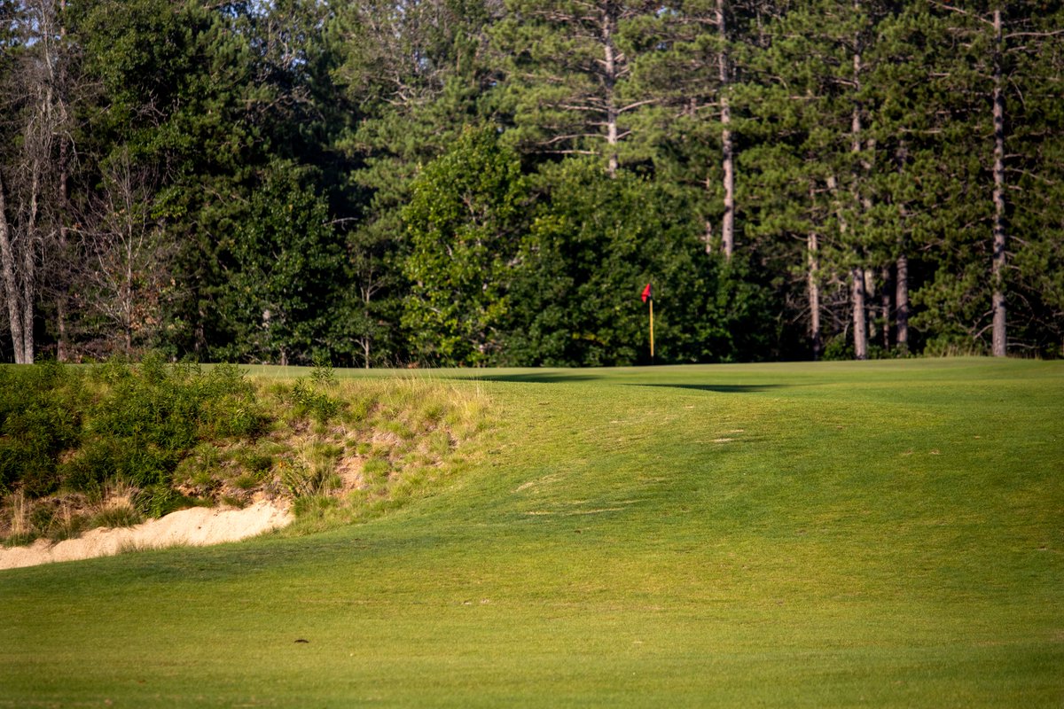 forestdunesgolf's tweet photo. Golfweek has just released its 2026 rankings of the Top 100 Best Courses You Can Play in the United States and both The Loop and Forest Dunes once again made the cut.  The Loop with its reversible design by Tom Doak was considered one course and came in tied for 52nd while Forest Dunes was tied for 82nd.  Pebble Beach holds the top spot while Doak's Pacific Dunes was No. 2.  A total of five courses from the state of Michigan made the top 100.  https://t.co/V9Neh4QTl7