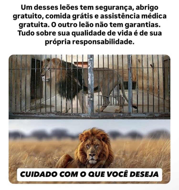 Quem_e_Satoshi's tweet photo. https://t.co/5jlfpFWc9A