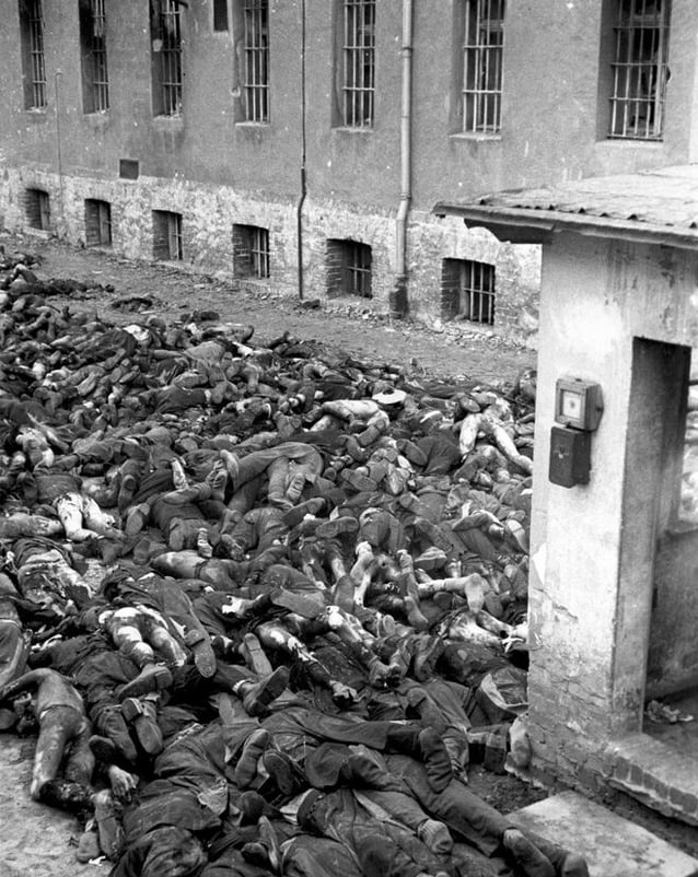 ShoahUkraine's tweet photo. On the night of 30–31 January 1945, the Gestapo executed 819 prisoners before fleeing the advancing Red Army, which reached the site on 2 February 1945.

The prisoners included resistance fighters and political prisoners from Poland, France, the Netherlands, Belgium, and several other occupied countries.