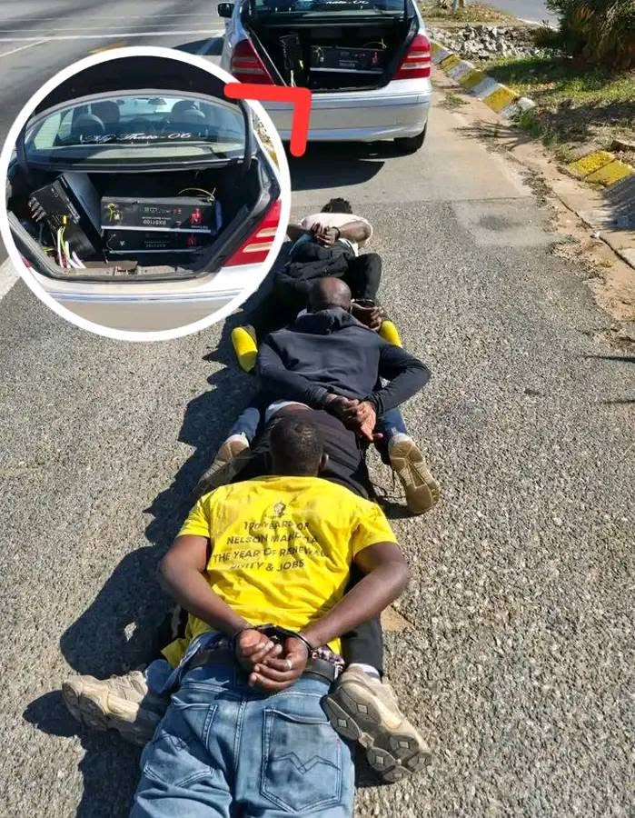 WesternPulse88's tweet photo. Where do you think they come from?

Zimbabwe is the answer https://t.co/9fZBhUNxVX