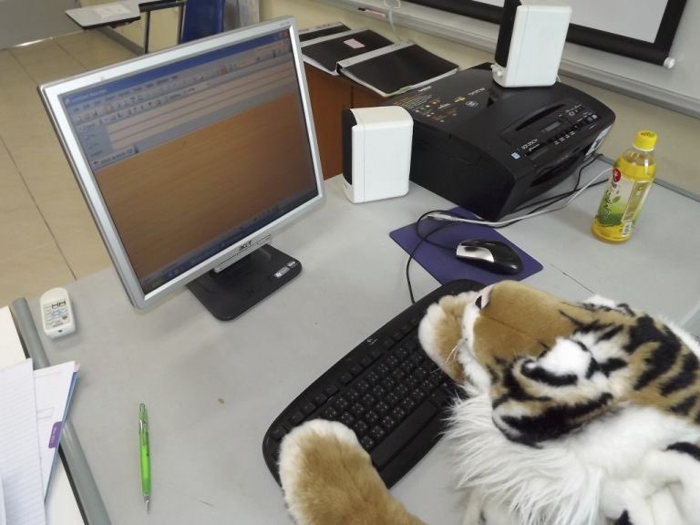 bigcatburger's tweet photo. How your email finds me https://t.co/nsSPurNSMd
