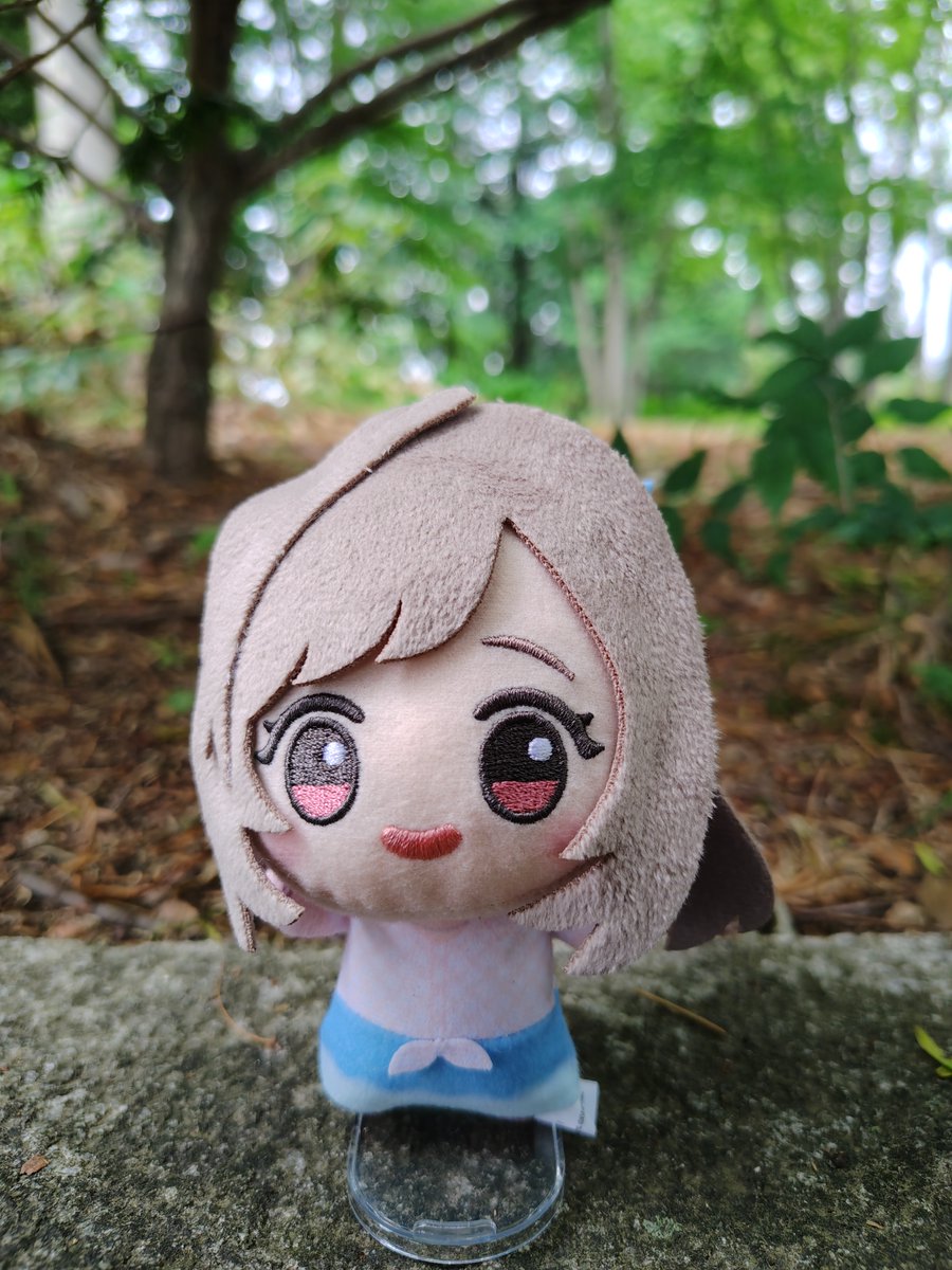 Issace0411's tweet photo. 6月はプレミアムバンダイから受け取ったちびぐるみの関係で大量に増えましたが、7月以降はシャニマスのちびぐるみが増える事になりそうです（ここにある4枚の写真は以前にポストで使用した写真だけです。7月以降もちびぐるみの撮影を続けていく事があります）。

#今月のぬいデミー賞
#ちびぐるみ https://t.co/hpwfQoFaU6