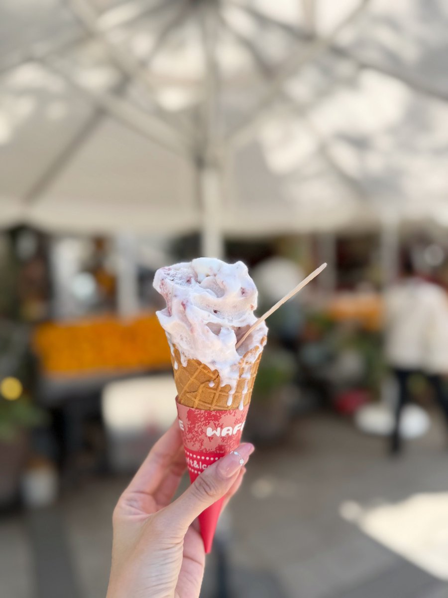_81181004's tweet photo. 広島にある海外みたいな雰囲気のカフェ🇮🇹
川沿いにあってご飯も美味しくて最高だった🪿

📍cafe ponte https://t.co/hEYXtPqnu5