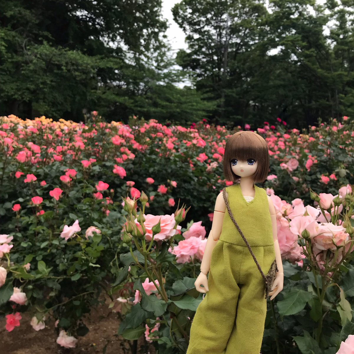 fleiyu's tweet photo. #見た人はお花と写ったドール写真をアップする https://t.co/rVaEfkOJdH