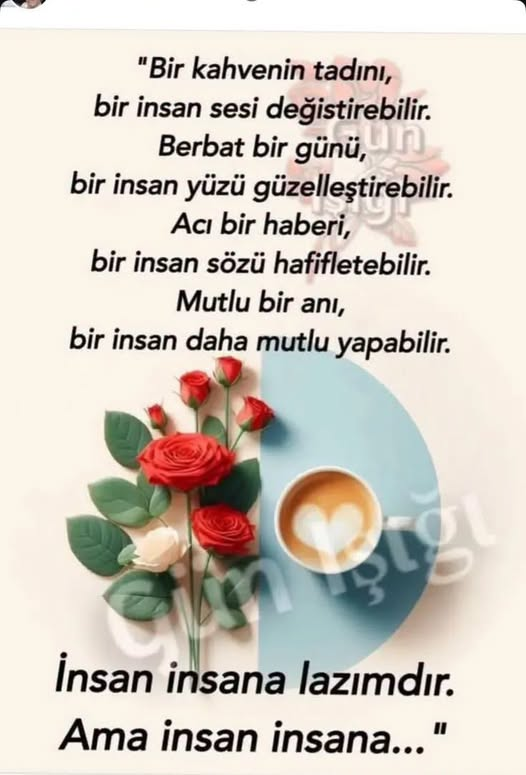alp_all's tweet photo. https://t.co/EnBGEFlssq