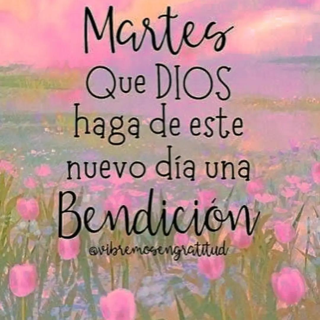 maelteme's tweet photo. Bendecido Día!!!🌞🤗🙏🇻🇪 https://t.co/35YCqDNFKM