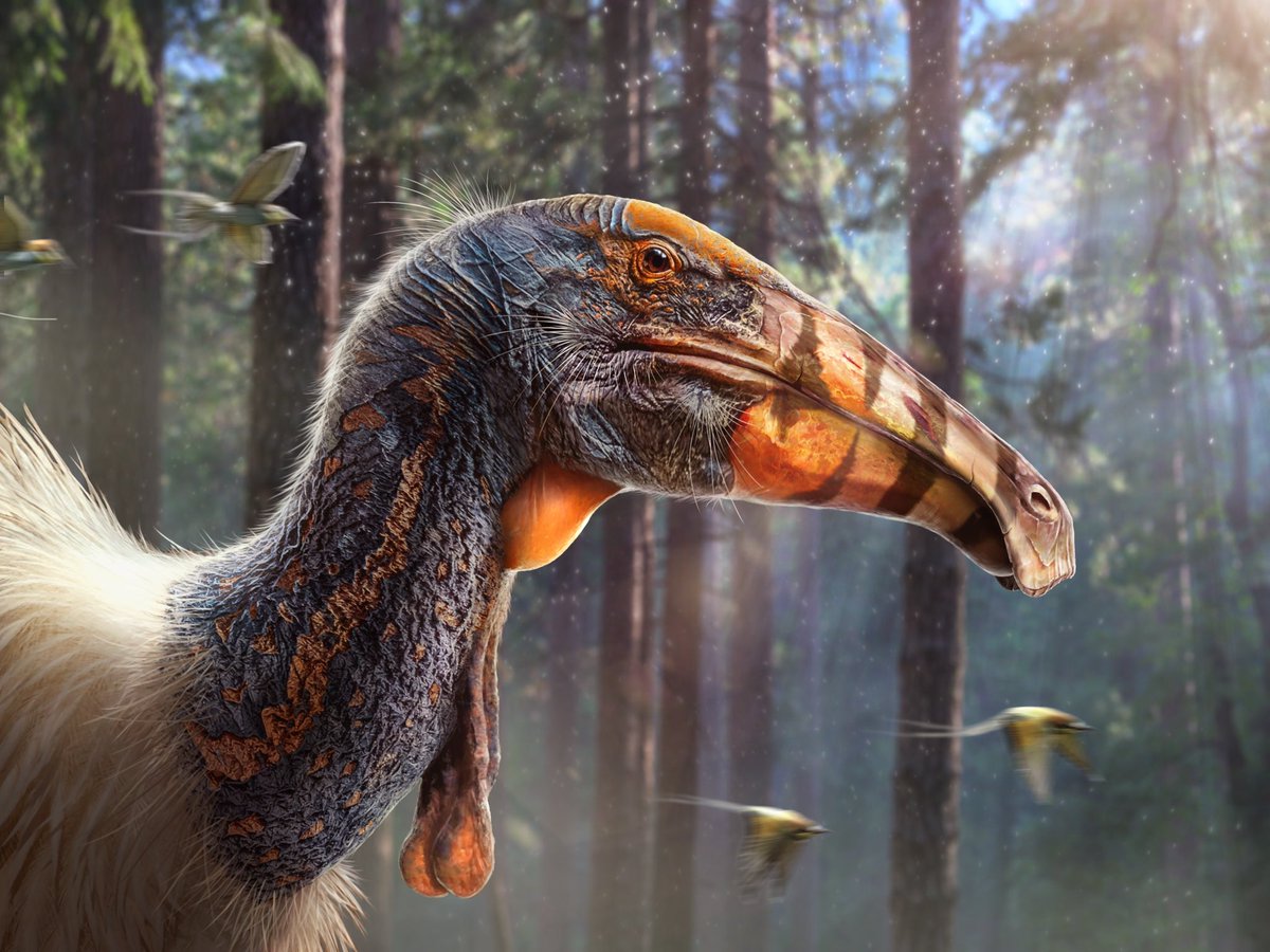 DragonsofWales's tweet photo. Big Bird (and little friends). 
Deinocheirus - illustrated in Procreate and Photoshop. No AI. https://t.co/ZW8nDlktKK