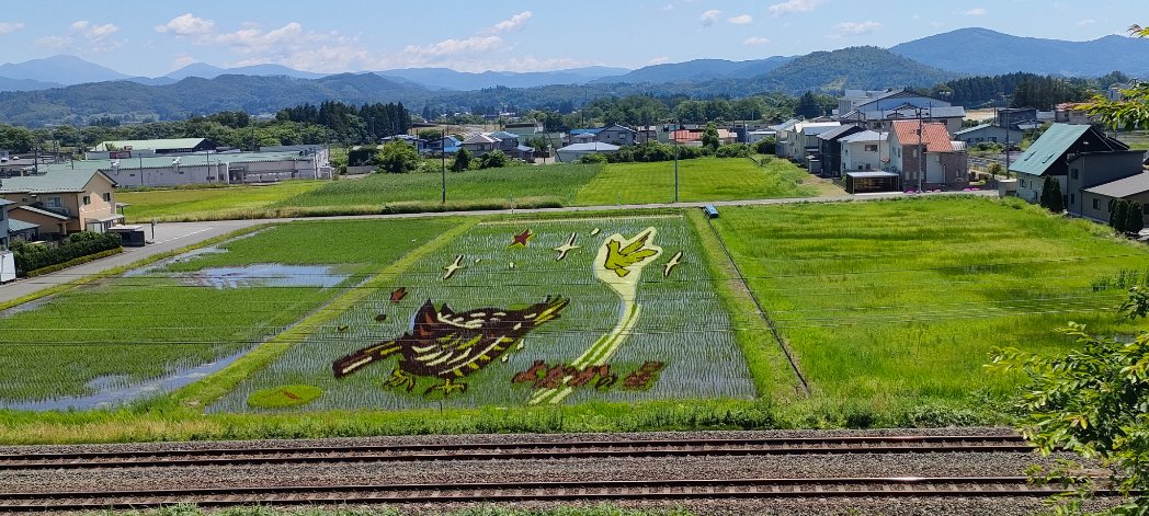 murenikui184's tweet photo. 前回から約三週間の
６月29日（月）
石鳥谷田んぼアート https://t.co/IVxRB70UdY