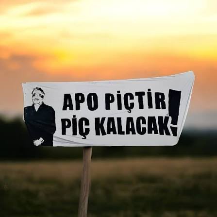 _Alpsector's tweet photo. Öcalan bebek katilidir 50 bin Türk vatandaşının katili bir orospu çocuğudur! @tuncerbakirhan https://t.co/F97bS1rYx2