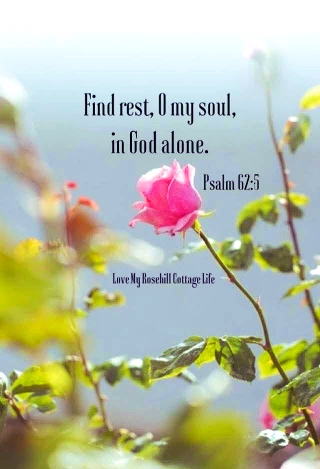 sprec61551's tweet photo. Psalm 62:5
My soul, wait thou only upon God; for my expectation is from Him. https://t.co/UF7I7jpgc5