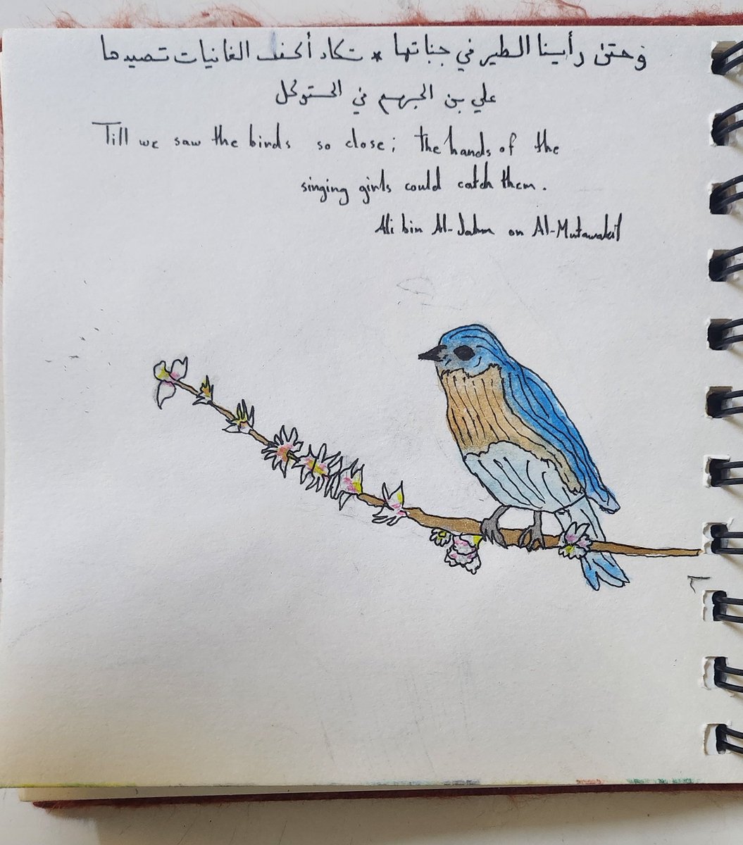 MahmudHanII's tweet photo. أكف الغانيات https://t.co/mnJmPCSwEZ