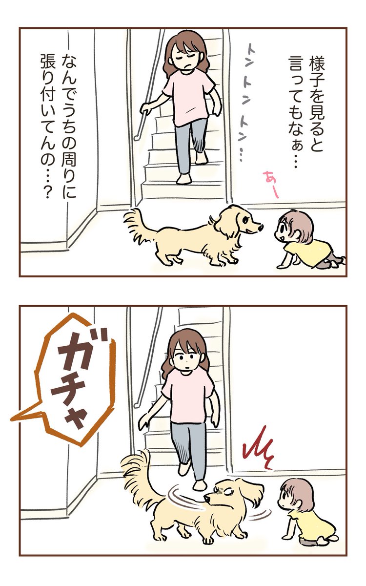 yumuihpa's tweet photo. わが家の前をウロつく不審な高齢者が、玄関のドアを勝手に…😱
(1/2) https://t.co/EqJkqV5FKs
