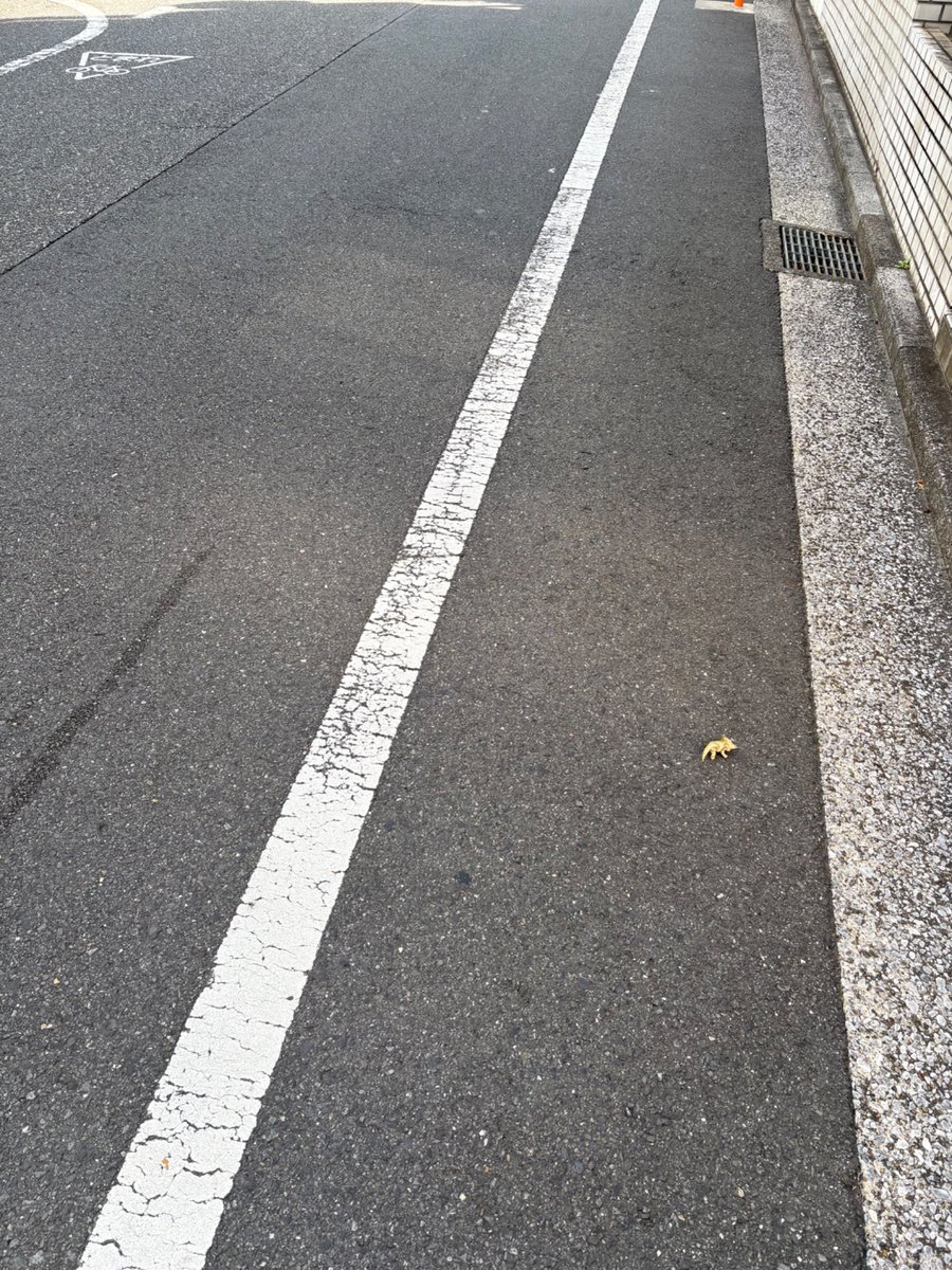 ちいかわ（本人確認済） (@chiikawa_right) / Posts / X