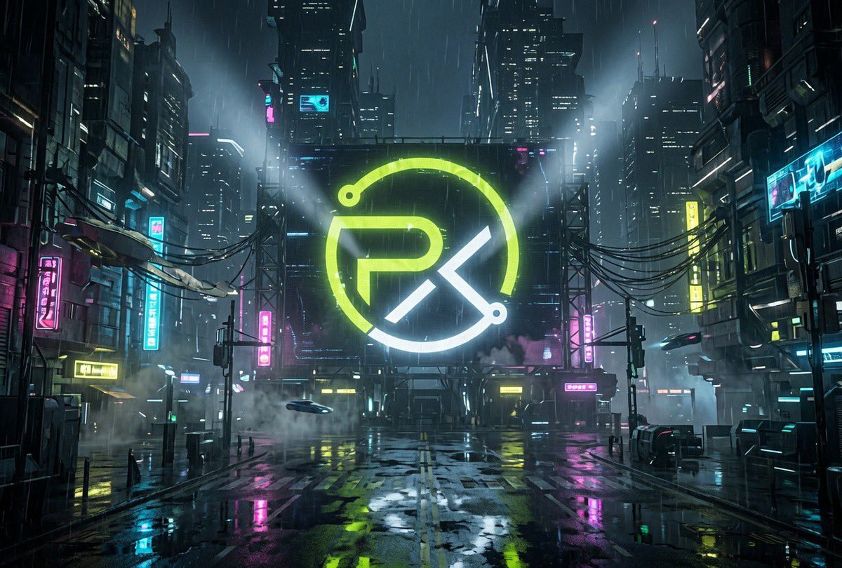 PaylaneX tweet media
