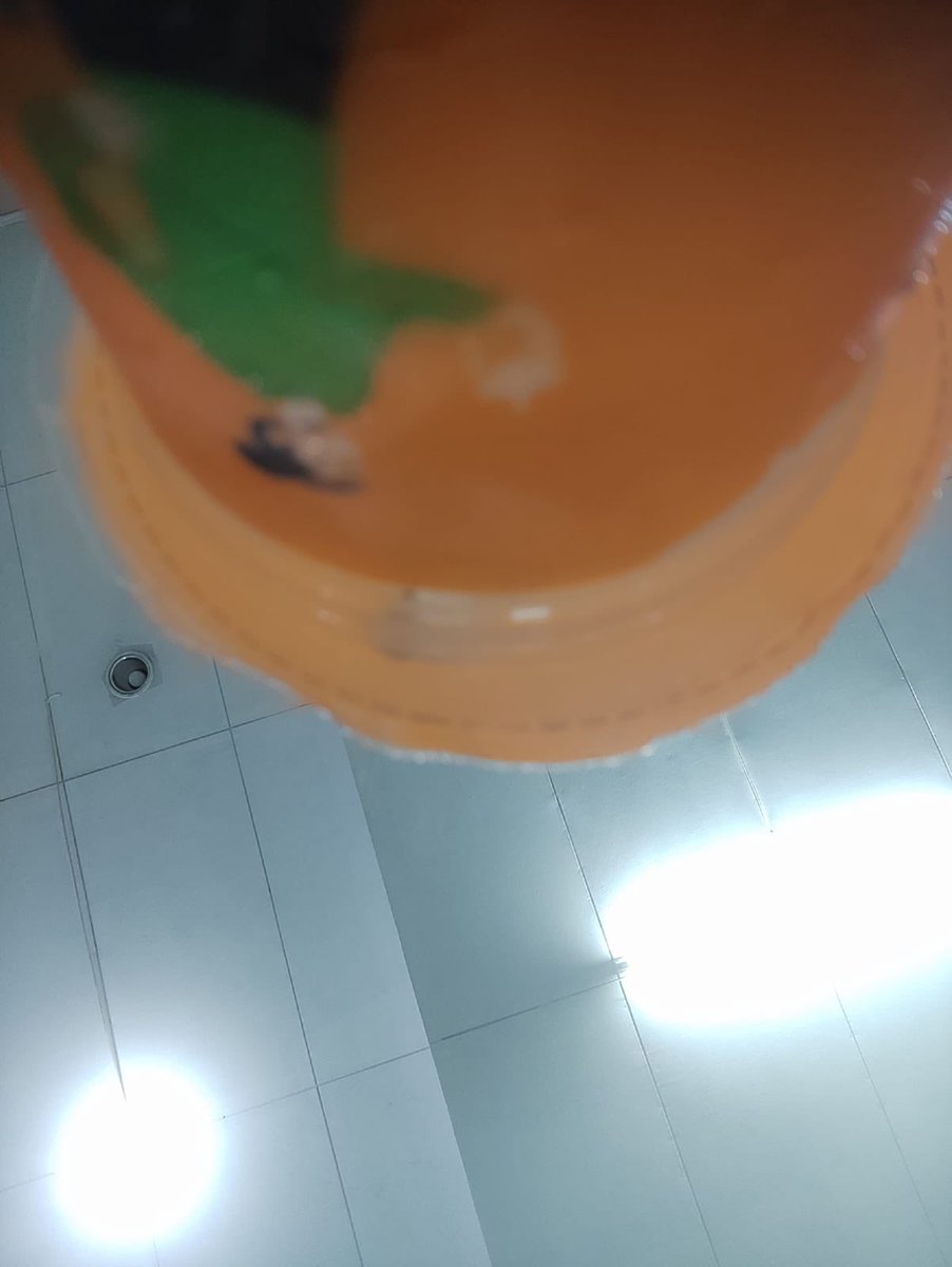 alicialiona's tweet photo. Aku sendiri lebih sering pesan less sugar karena rasa susunya masih dominan dan menurutku lebih pas dinikmati.
Senang sih sekarang makin banyak tempat minum yang kasih kebebasan pelanggan buat menyesuaikan tingkat kemanisan.
#JadiLebihBaik https://t.co/vRxnf1WxXr