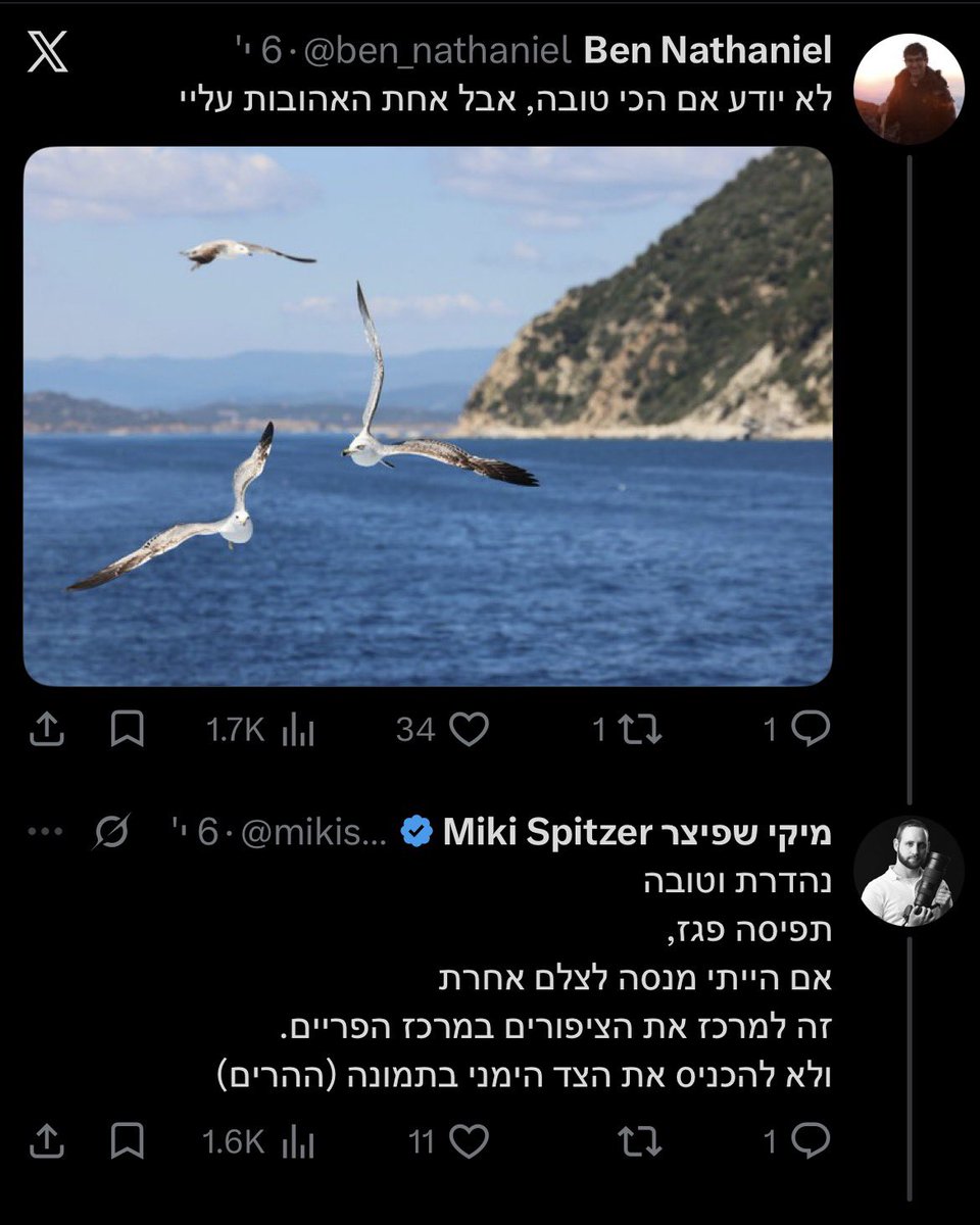 arielapais's tweet photo. @mikispitzer @NikonUSA @NikonEurope @earth @EarthPix @NatGeo @KatmaiNPS 😉 https://t.co/Us502TXjPu