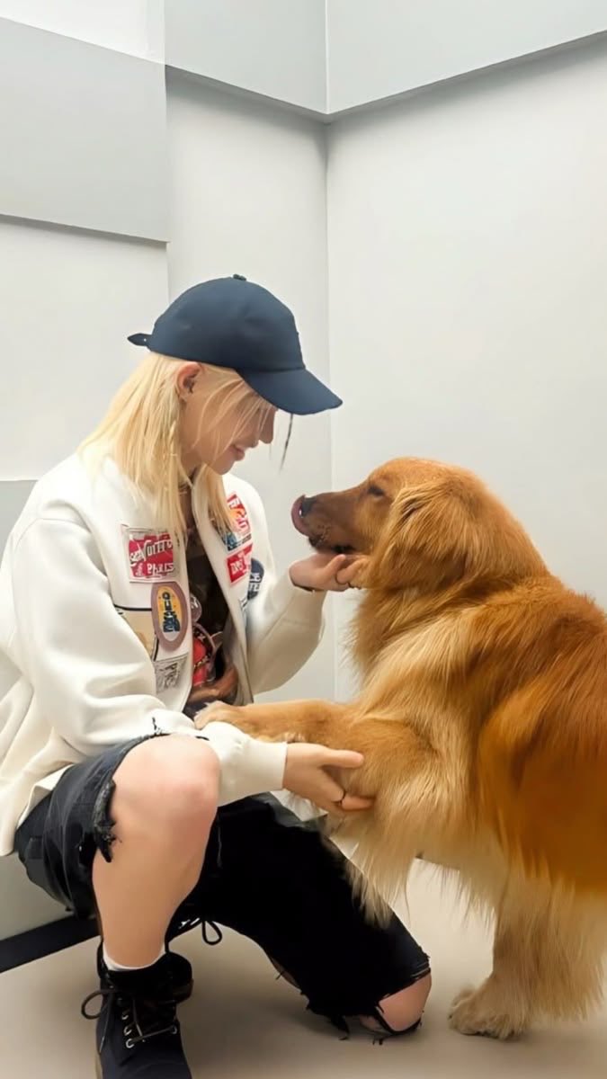 Dogsvibe1's tweet photo. You can’t separate us either because we’re both deeply in love 🥰😍
#FELIX
@lixieIovs https://t.co/K47EKcZP6f