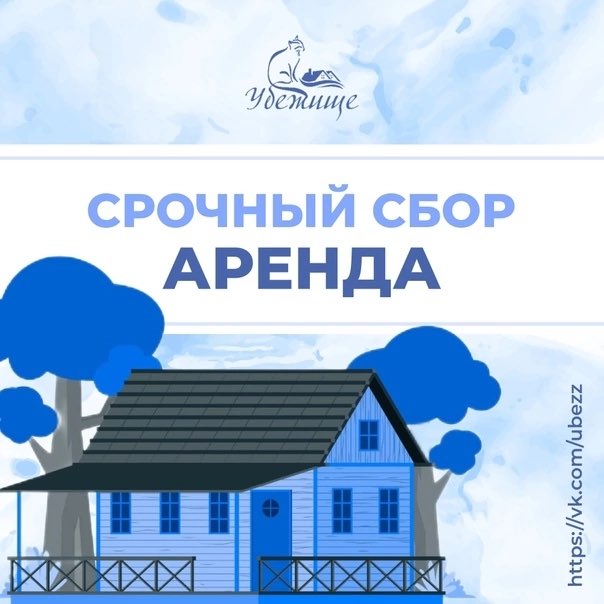 ubezh777's tweet photo. СБОР СРЕДСТВ НА АРЕНДУ ПОМЕЩЕНИЯ И КУ
 Осталось всего 2 дня, чтобы успеть собрать всю сумму на оплату аренды помещения и КУ - 115 000 руб. На данный момент нам не хватает 57 000 руб.
Без помещения приют не сможет дальше продолжать помогать животным. Только за июнь численность… https://t.co/oINfaXK4oA