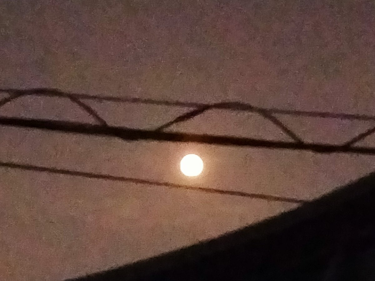 yuko_508's tweet photo. 20:48 のお月様はオレンジ色でした🌕🧡
 #ストロベリームーン 
会えて良かった(*^_^*) https://t.co/oxNB8DcaVR