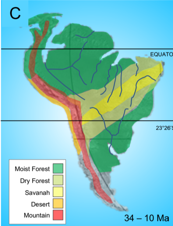 JamesAl0410008's tweet photo. Paleogeographic maps of South America showing how the Eocene-Oligocene global cooling event at c. 34 Ma transformed millions of sq. km from shallow seas to tropical rainforest and riverine ecosystems. 

Maps with references from our forthcoming book: https://t.co/ZQBwyU2sMn https://t.co/Er59JilRbL