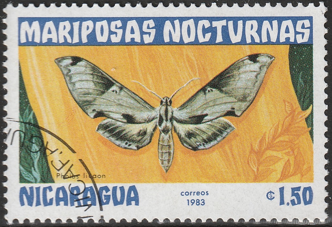 THOMAS16031's tweet photo. 切手に描かれた昆虫12　エウモルファ・サテリティア
学名：Eumorpha satellitia（旧学名：Pholus licaon）
スズメガ科の蛾。
成虫の開張はおよそ10～13cmに達する大型種で、細長い前翅と流線形の体を持ち、優れた飛翔能力を備える。前翅は灰褐色から暗褐色を基調とし、木の樹皮を思わせる複雑な波状模様が入り、静止時には高い保護色となる。後翅には淡桃色から赤褐色を帯びた部分が現れ、飛翔時には美しい色彩がのぞく。幼虫は鮮緑色または褐色型があり、体側に斜めの淡色帯が入り、尾端にはスズメガ類特有の角状突起を備える。成虫は夕暮れから夜間に活動し、長い口吻を使ってホバリングしながら花蜜を吸う。
メキシコから中央アメリカ、カリブ海地域、南アメリカ北部にかけて分布し、熱帯・亜熱帯の森林や林縁、農耕地周辺など植物の豊富な環境に生息する。幼虫はブドウ科植物を主な食草とする。
熱帯域では年間を通じて複数回発生し、成虫の寿命は数週間程度で、その間に交尾・産卵を行う。幼虫は十分に成長すると地表近くで蛹化し、環境条件に応じて羽化する。
#世界の切手